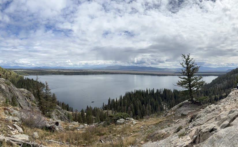 Day 15 – Elche im Wald & Cowboys in der Bar